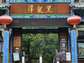 Exploring Heilongtan Park: A Hidden Gem in China