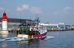 Retour-au-port.jpg