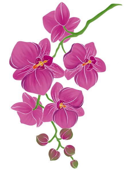 IMG_1159.PNG