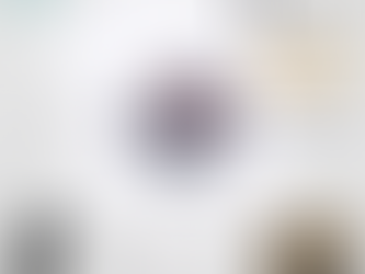 USSSA Virginia Baseball Bring the Leather 2024 logo shirt