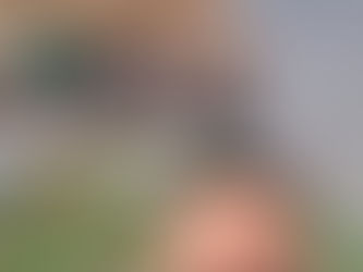 Animais soltos assustam moradores nos bairros do Guarujá