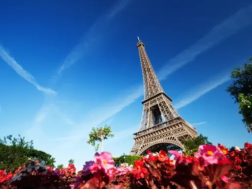 🌸 Paris in Spring: A Cultural Season to Experience Fully