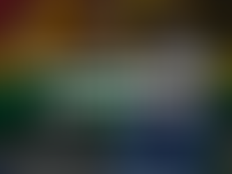 winter-approved spots for little lex locals