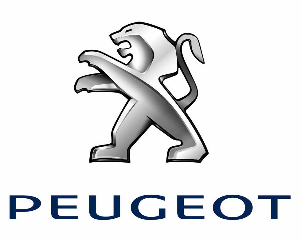 peugeot-car-paint-mixed-from-vehicle-colour-code-prices-from-1848-p.jpg
