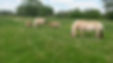 20170521_133938.jpg