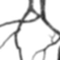 copy_F9672150-AA91-4F66-B0C7-5786FB79FF50_edited.jpg