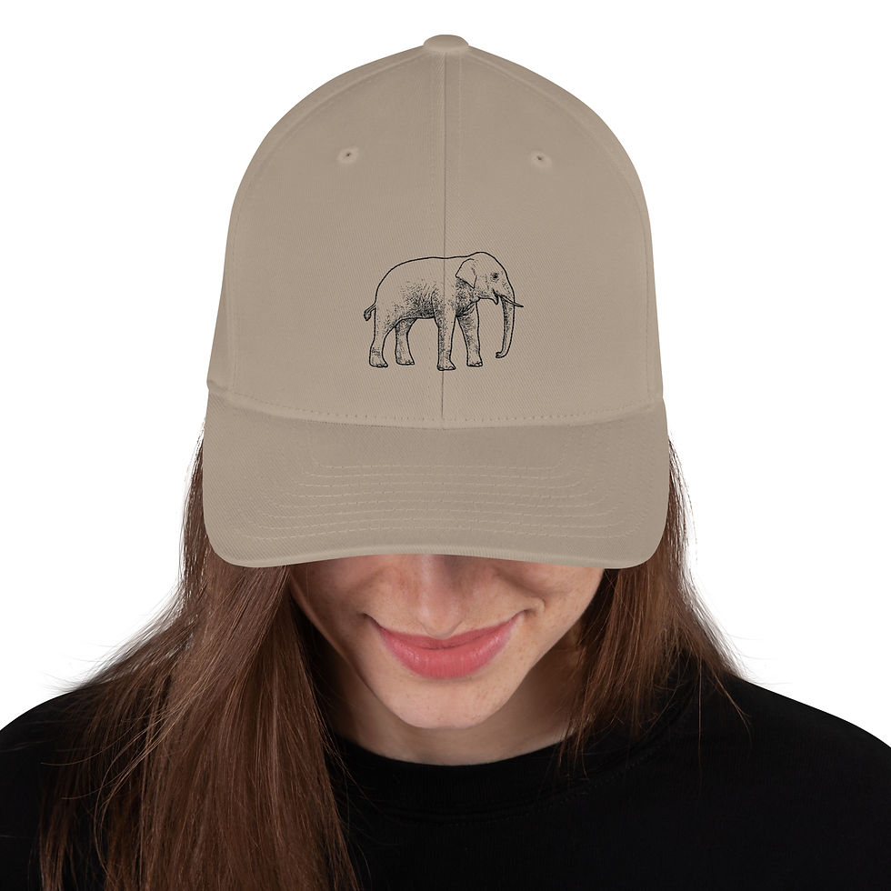 Thumbnail: Structured Twill Cap