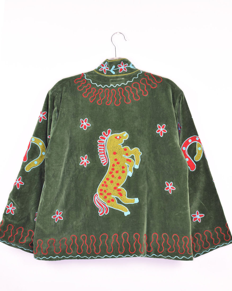 green velvet jacket with playful horses and horse shoes embroidered on it - back view