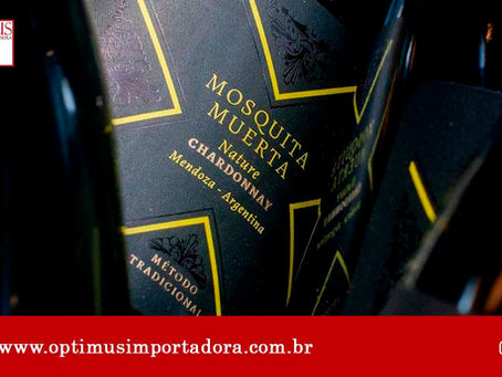 Saiba mais sobre a famosa rota do vinho na Argentina