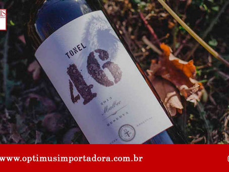 Conheça 5 cuidados indispensáveis de como guardar seu vinho em casa!