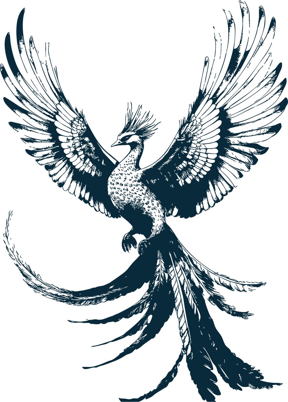 SimboloAzul escuro.png