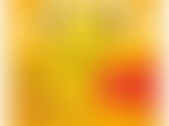 Letní vinný festival