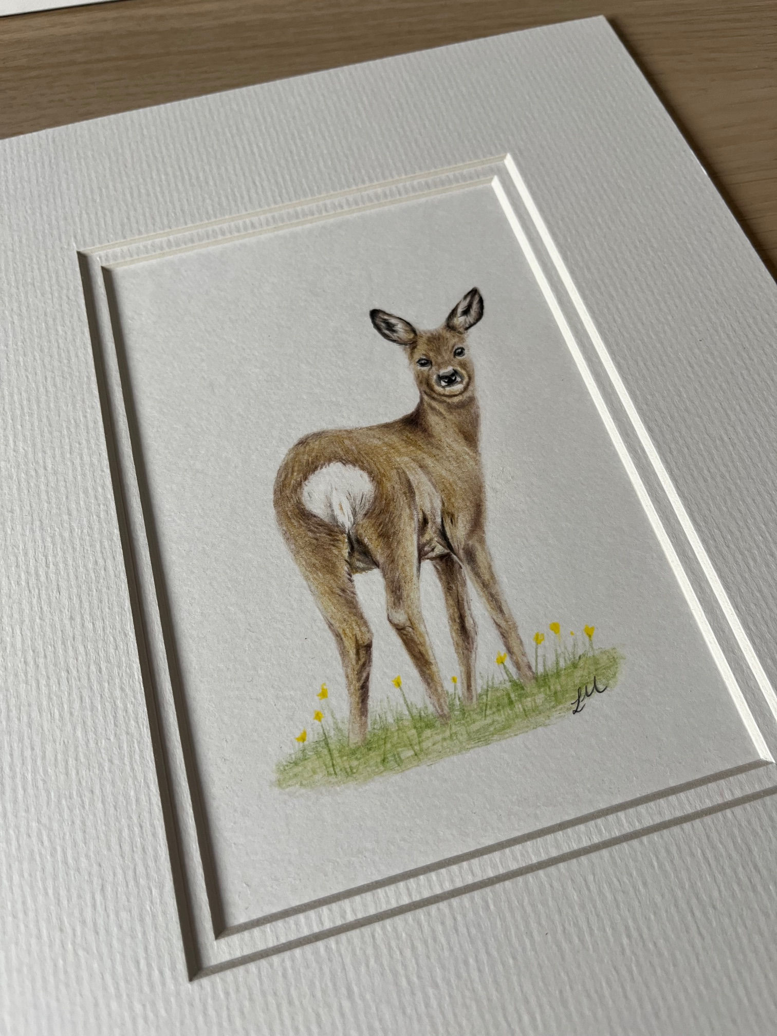 Roe deer original drawing 