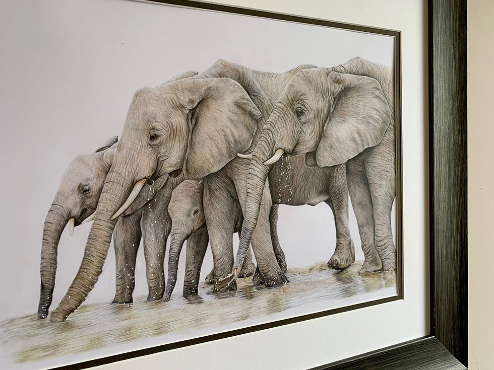 Thumbnail: 'The Waterhole' Original Drawing