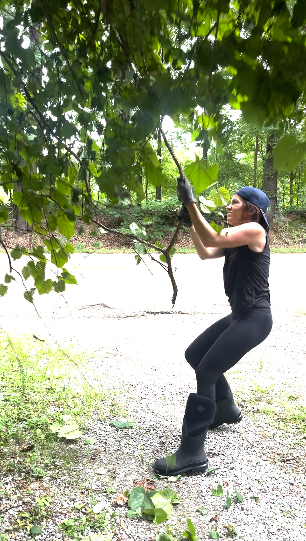 letting go in september, lacey pulling vines