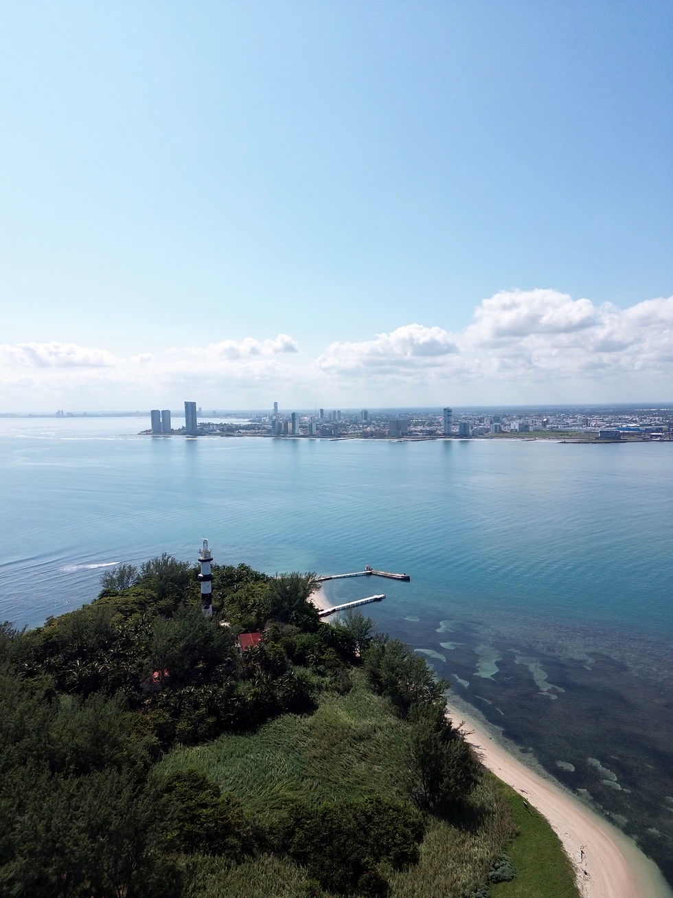 dji_fly_20251210_114554_132_1765389620207_photo.jpg