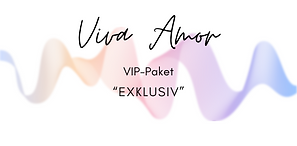 Logo - VIP Paket by René Schneider (Logo).png