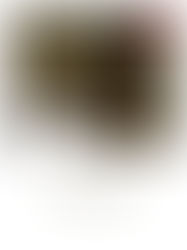 Bauhaus Interior – Die Kunst der Reduktion