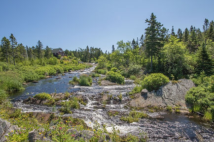 River Shot Up from Swimming Hole.jpeg