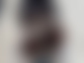 Why Professional Pet Care Is Worth It