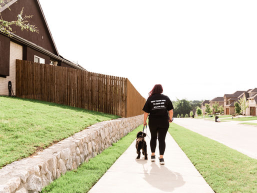 Flexible Routine Dog Walks for Busy Professionals & Work-From-Home Households in DFW