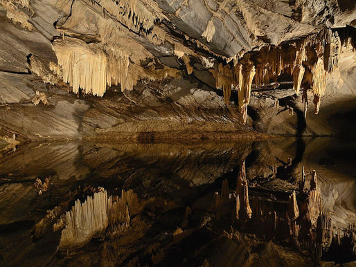 Discover Belgium: Explore a Land of Geodiversity, Fossils and Adventure