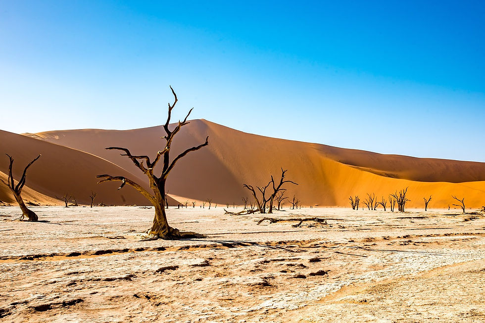 The red star sand dunes and white clay salt pan of Deadvlei of Sossusvlei in Namibia – Image by Jon W