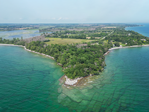 Discover Canada and Explore the Fossils and Geodiversity of the Bay of Quinte in Ontario