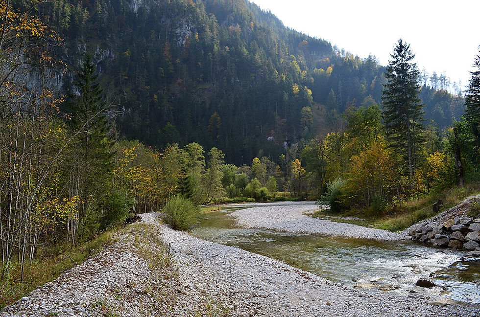 A view of the Salza River near the village of Weichselboden – Image by Wald1siedel