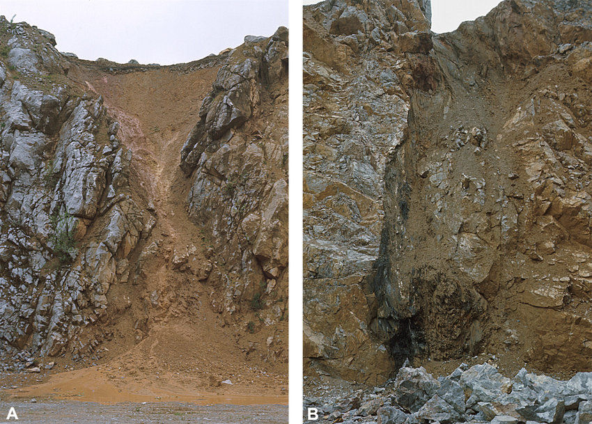 Example of Neptunian Dykes in Limestone - Image by Dieter Korn