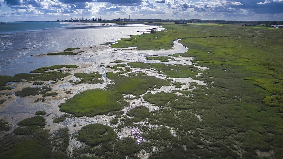 UNESCO Global Geopark Schelde Delta at Schor Paulinapolder - Image by Arjan Hartog