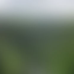 Discover Somerset and Explore the Geodiversity and Fossils of Cheddar Gorge