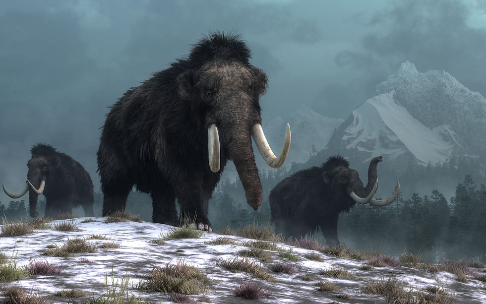 Depiction of a herd of Woolly Mammoth - Image by Daniel Eskridge