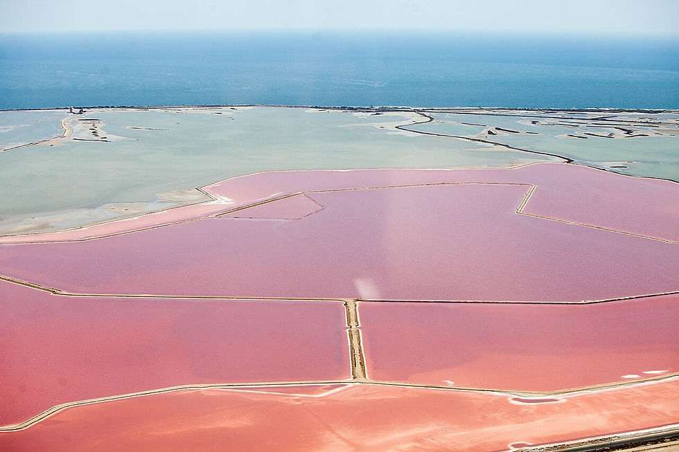 Salt Flats of the Camargue - Jeroen Komen