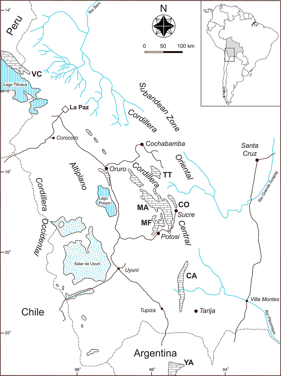 Bolivia and adjacent countries with the main Cretaceous basins of Limestone (Hatched Areas)
Image by Ch.A. Meyer, D. Marty, B. Thüring, S. Thüring, M. Belvedere