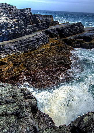 Fossil-Coast-Mistaken-Point-1.jpg