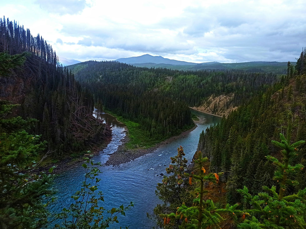Discover Canada and Explore the Fossils and Dinosaurs of Tumbler Ridge in British Columbia