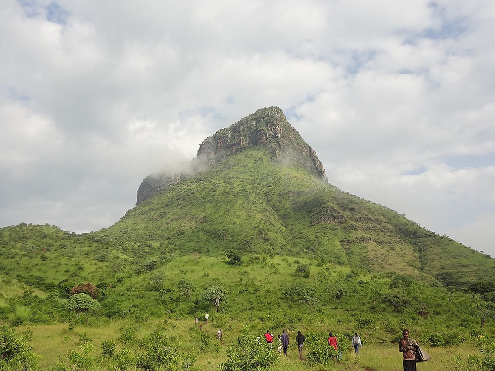 Mount Napak (2,103m ASL) is the third highest mountain and extinct volcano in the Napak District, Uganda