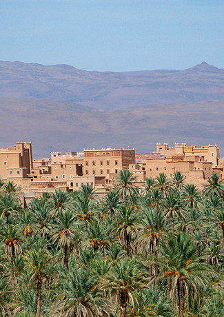 Fossil-Coast-Province-of-Zagora-Marlene-Vicente.jpg