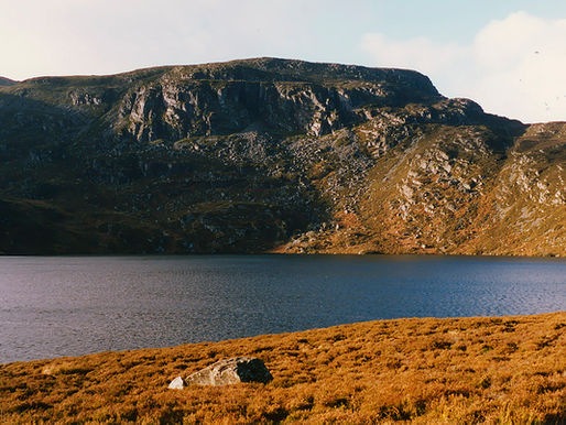 Discover the Arenig Age and Explore the Fossils and Geodiversity That Shaped Our Planet