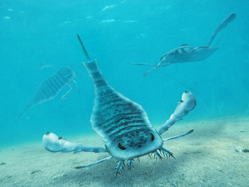 Depiction of the predatory Sea Scorpion - Image by Dimitris Siskopoulos
