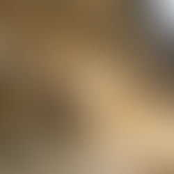 Discover Utah and Explore the Carnegie Quarry Exhibit Hall