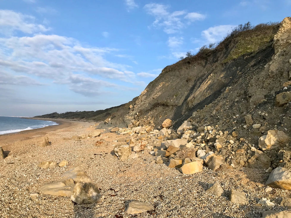Lower Greensand and Blocks at White Nothe