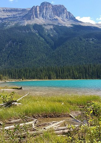 Fossil-Coast-Yoho National Park.jpg
