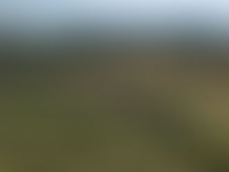 Discover France and Explore the Fossils & Geodiversity of Canjuers Lagerstätte in Var department