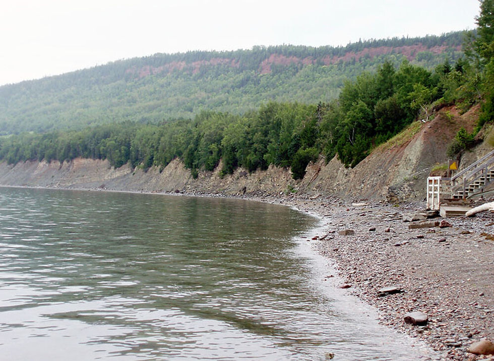Shores of the Miguasha National Park - Image by Neumeier