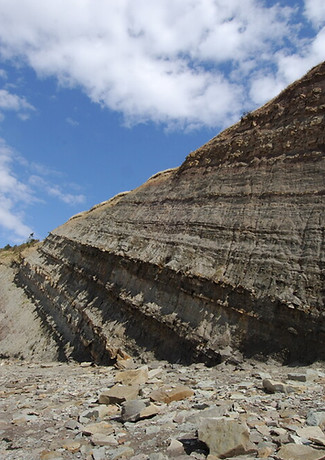Fossil-Coast-Joggins-Cliffs-2.jpg