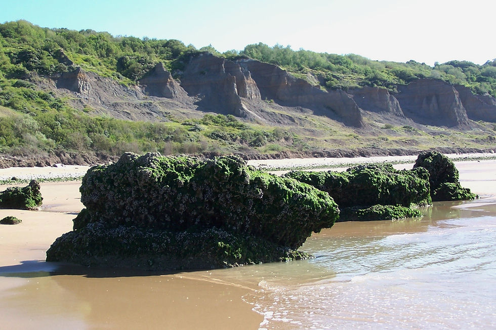 Discover France and Explore the Fossils and Geodiversity of the Vaches Noires Cliffs in Calvados