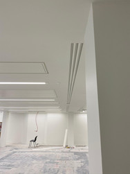 BDSL_Cavendish Square(1).jpeg