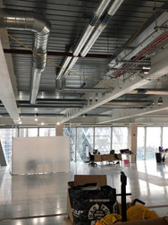 BDSL_Scalpel Building(7).jpeg